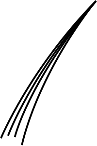 Scaphopod