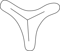 Palynomorph