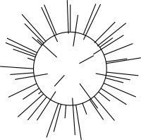 Radiolaria