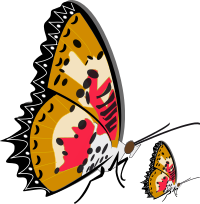 papillon