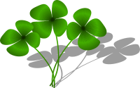 dobilai, clovers