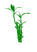 bamboo