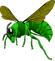Green Hornet
