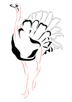 ostrich