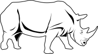 rhino