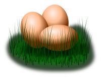 egg in grass