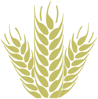 Wheat 1 - Trigo