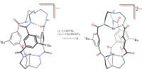 Sn(II) hetero-bimetallic cryptand