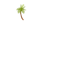 palm tree