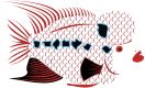 goldfish