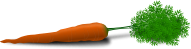 whole carrot