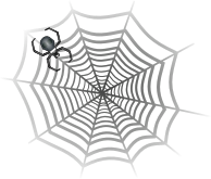 spider web