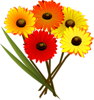 bunch of flowers