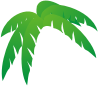 Palm Tree Leaves