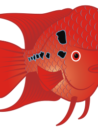 Red Goldfish