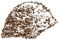 Compost pile