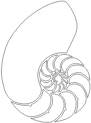 Nautilus Shell