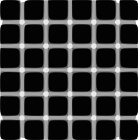 Optical Illusions Quiz Award