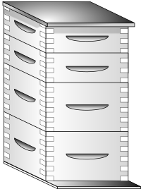 Langstroth Hive