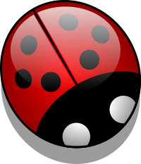 Ladybug