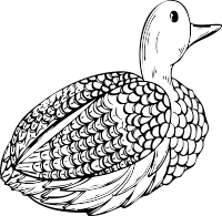 duck decoy