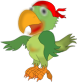Pirate parrot