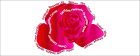 Words in pink