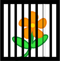 Flower Behind Bars
