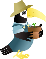 Toucan in the garden
