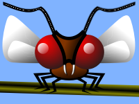 Mosca