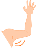 arm pit