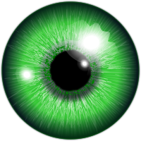eye, akis Å¾alia