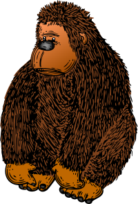 Gorilla with Colour
