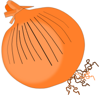 Onion