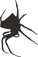 Spider silhouette