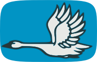 Flying swan