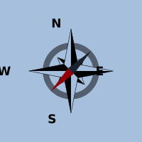 Needle