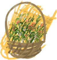 flowers basket