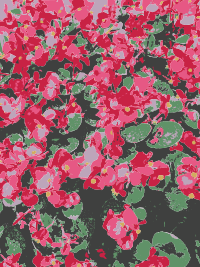 Aiflowers ghostshowers more flowers
