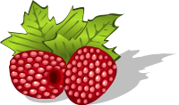 raspberries, avietes, berries, uogos, food