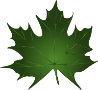 Lapas, maple leaf