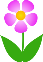 Pink Flower