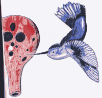 Hummingbird