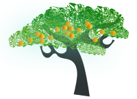 orange tree
