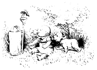 Schnuller