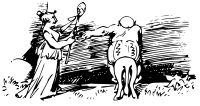 W Busch Der Haarbeutel 13