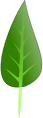 leave