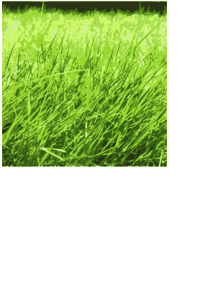 green power 3