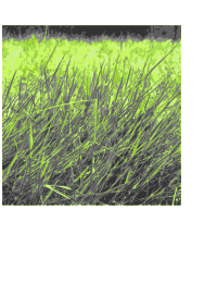 green power 2