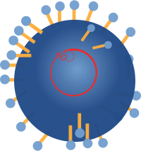 rna virus